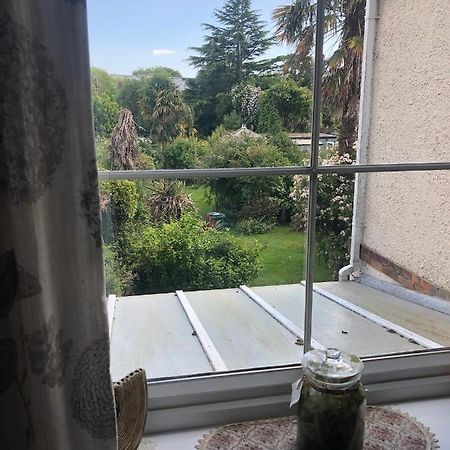 Old Orchard House Bed and Breakfast Lavant Εξωτερικό φωτογραφία